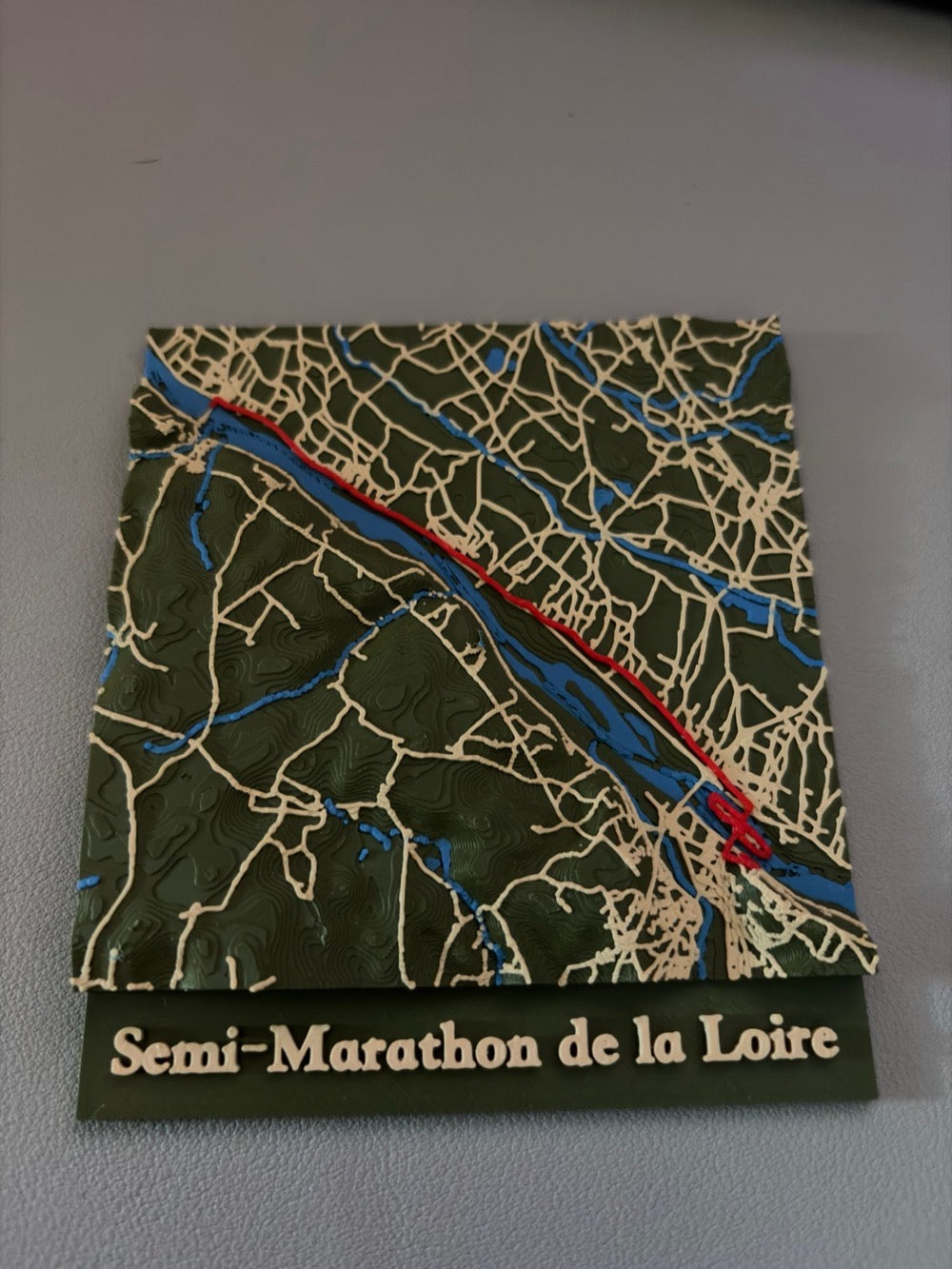 Semi-Marathon de la Loire